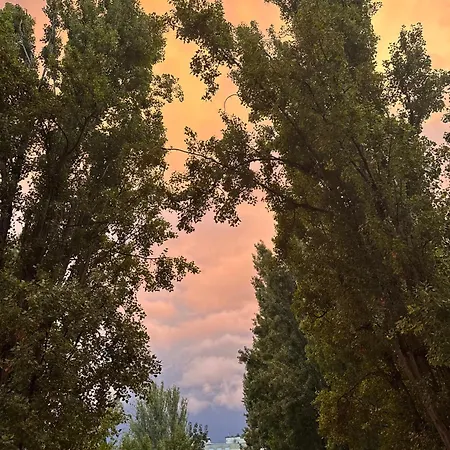 Bright In * باريس